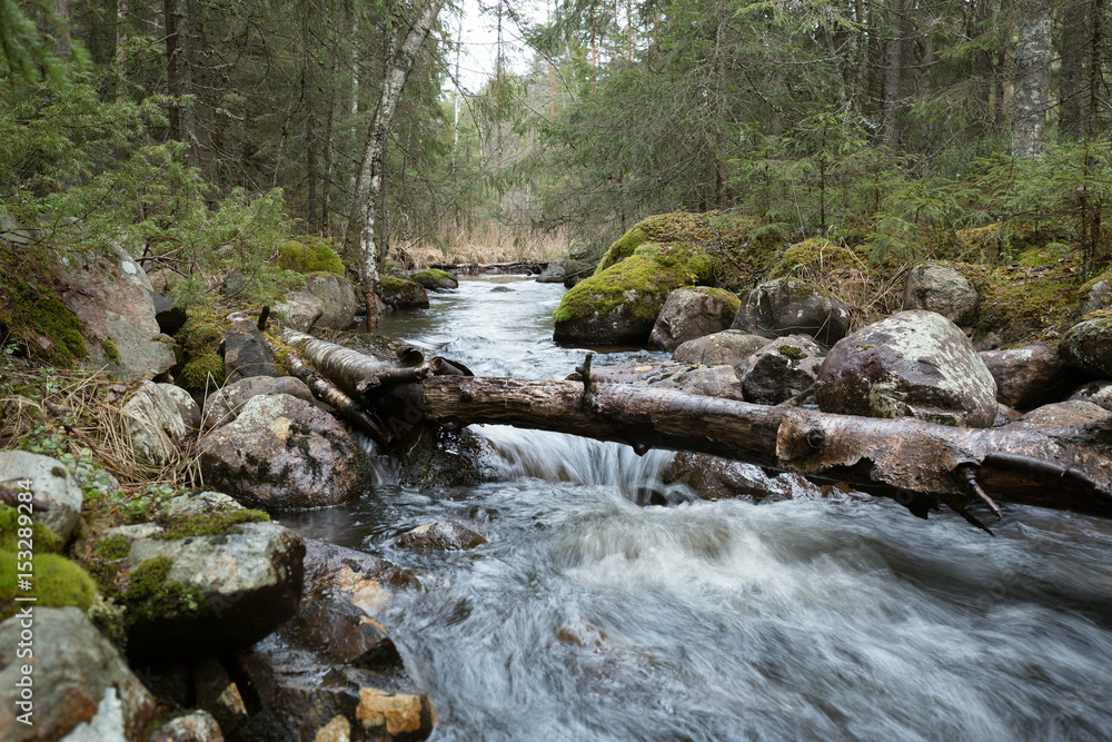 Natural river in sweden running through a mixed forest Natural river in sweden running through a mixed forest