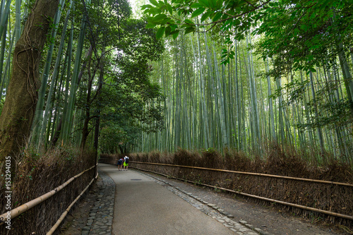 Bamboo forest in Kyoto