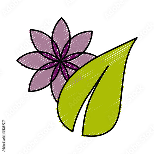 flower and leaf icon over white background. vector illustration © djvstock