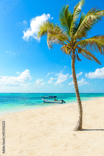 Akumal beach - paradise bay  Beach in Quintana Roo  Mexico - caribbean coast