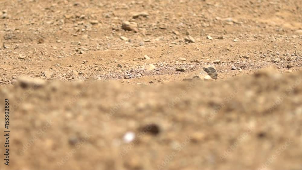 Motocross Low Level Detail Motocross Low Level Detail