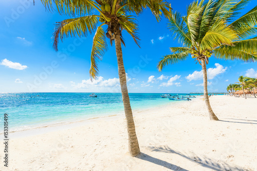 Akumal beach - paradise bay Beach in Quintana Roo, Mexico - caribbean coast