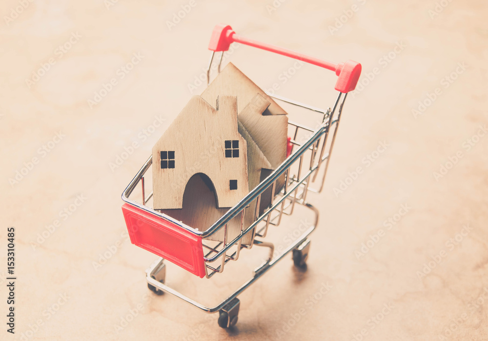 Little houses in shopping cart ,money saving for new houses and family.
