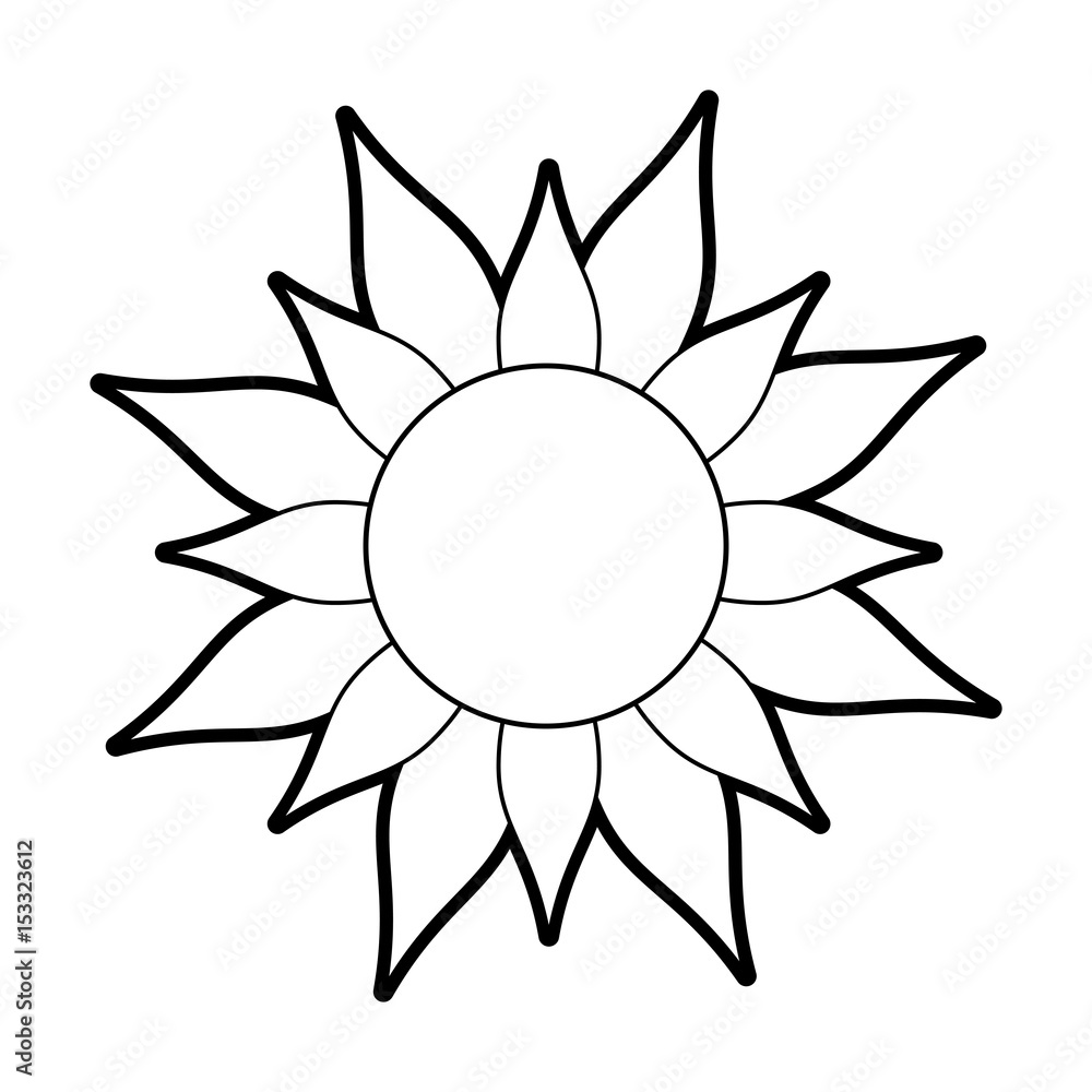sketch silhouette image sun in flower figure vector illustration