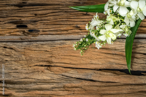 white orchid flower on old wood background