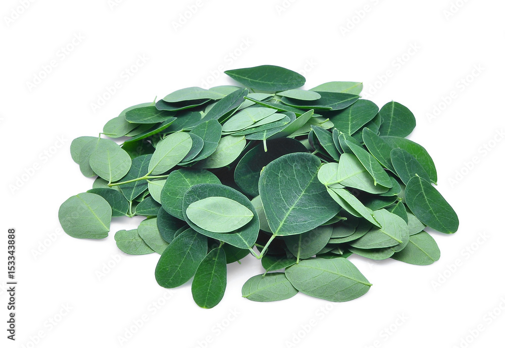 Naklejka premium pile of fresh moringa leaves isolated on white background