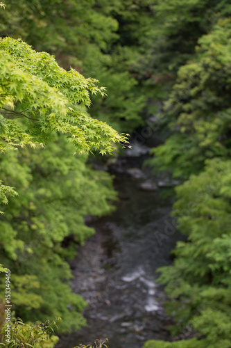 Green in the valley