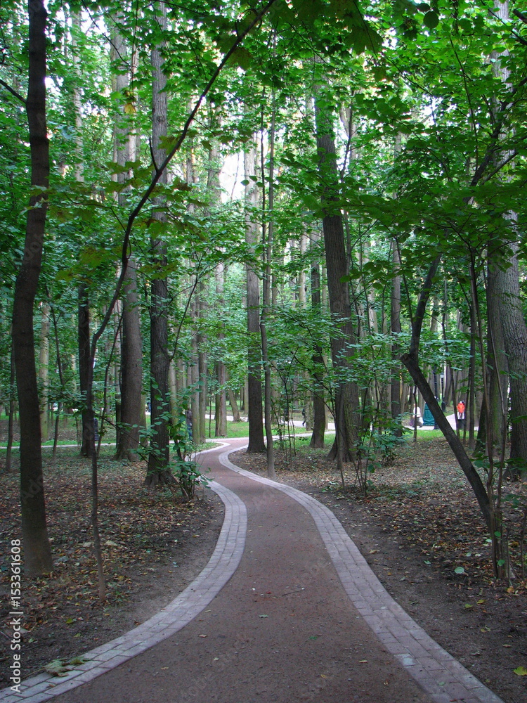 Obraz premium a park