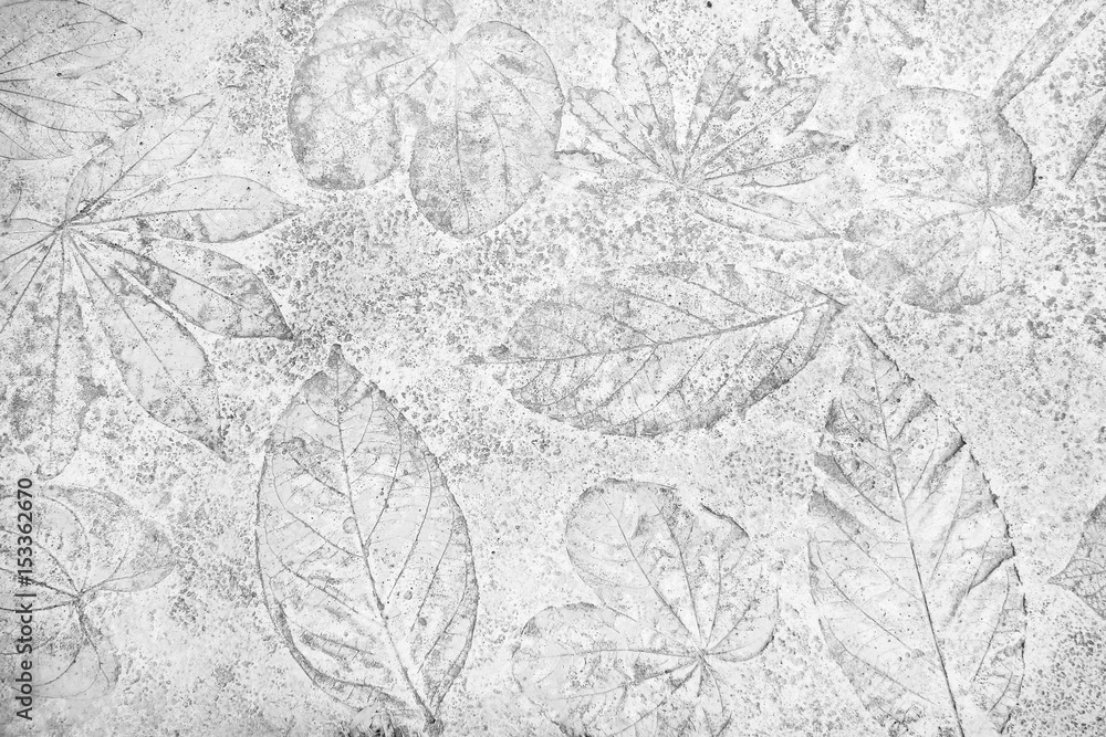marks of leaves on the gray concrete background