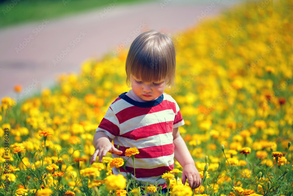Little boy walking on a flowering lawn Little boy walking on a flowering lawn
