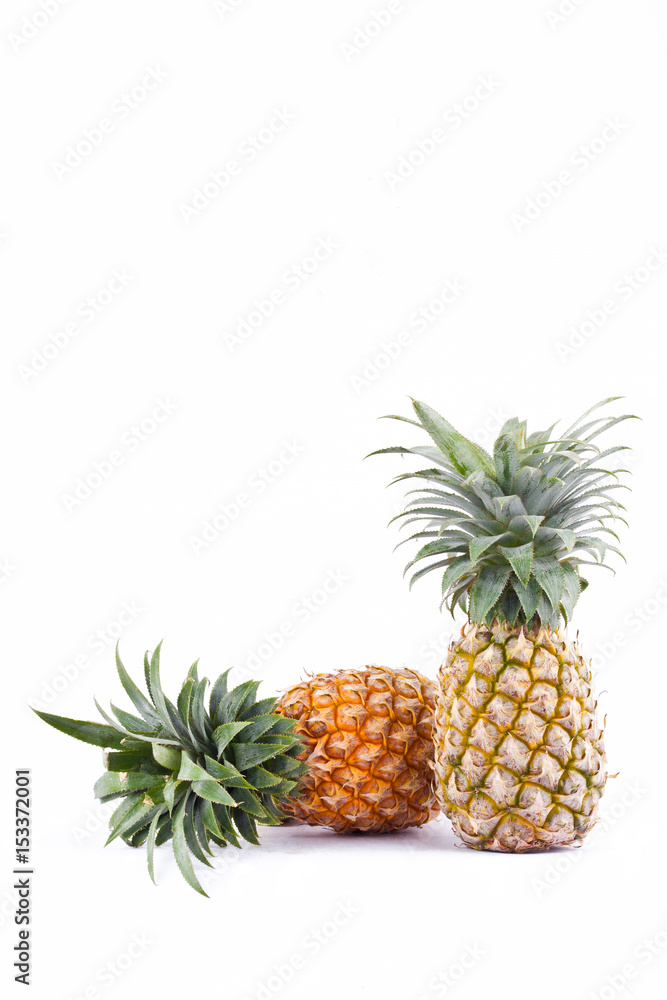 pineapple is high vitamin C fruit on white background healthy pineapple fruit food isolated
pineapple is high vitamin C fruit on white background healthy pineapple fruit food isolated