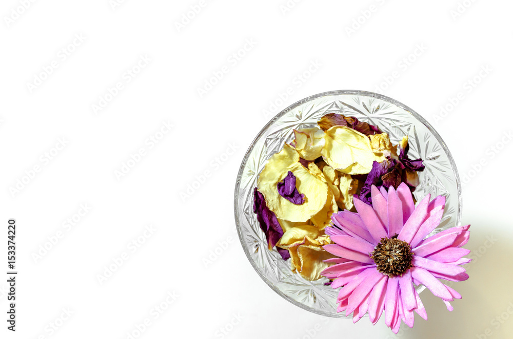 Flower petals aroma incense in vase isolated on white background. Flower petals aroma incense in vase isolated on white background.