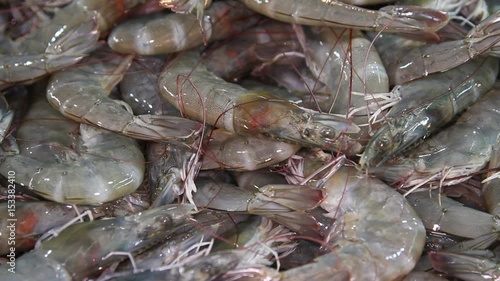 Fresh raw royal tiger shrimps are sale in the local market close up
