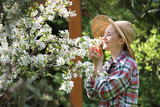 Kwitnąca jabłoń. Szczęśliwa kobieta wącha kwiaty jabłoni.