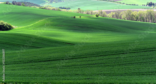 Striped fields of South Moravia in summer, Czech Republic