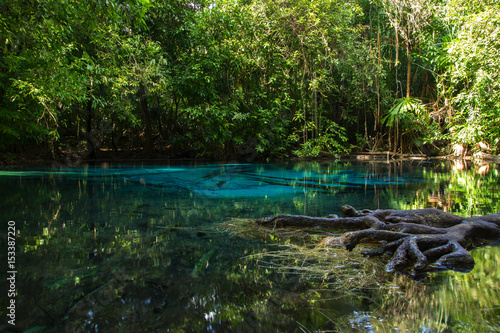 Amazing nature  Blue pond in the forest.