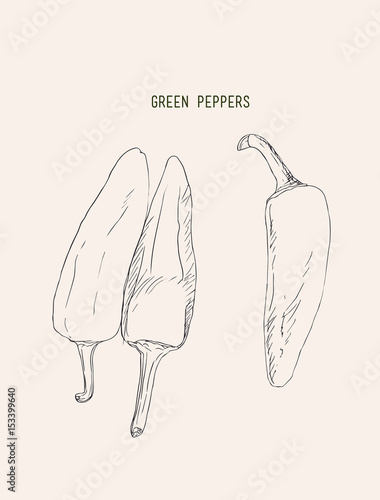 green hot thai chili peppers vector.