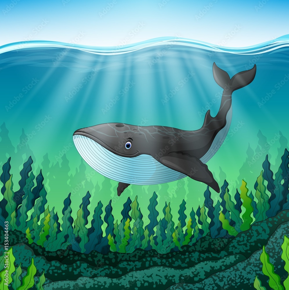 Obraz premium Cartoon whale swim in the sea