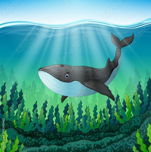 Cartoon whale swim in the sea