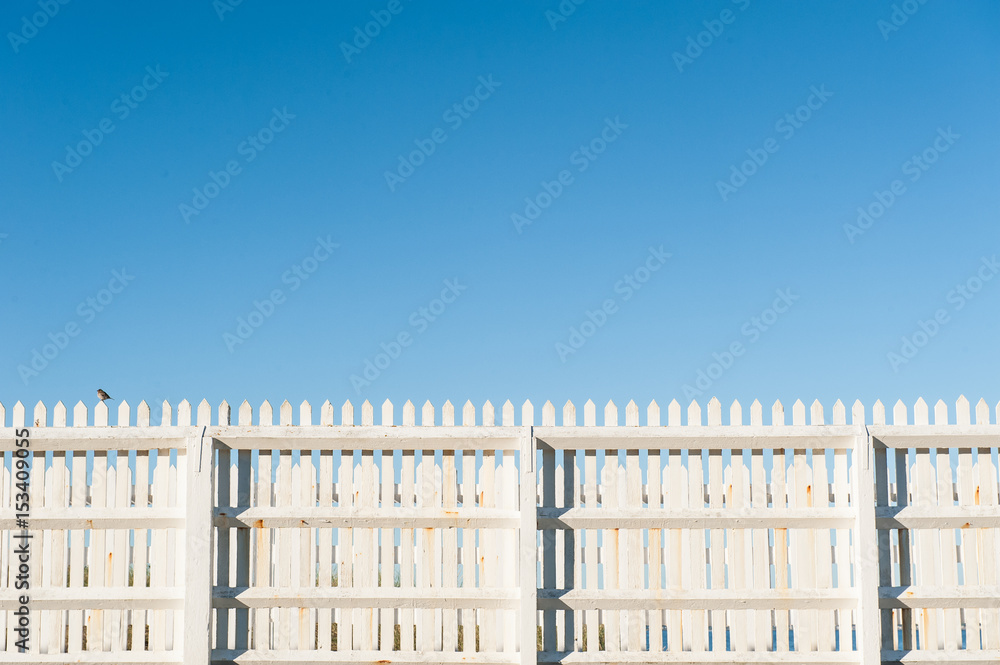 White Fence with Bird - Wellington New Zealand White Fence with Bird - Wellington New Zealand