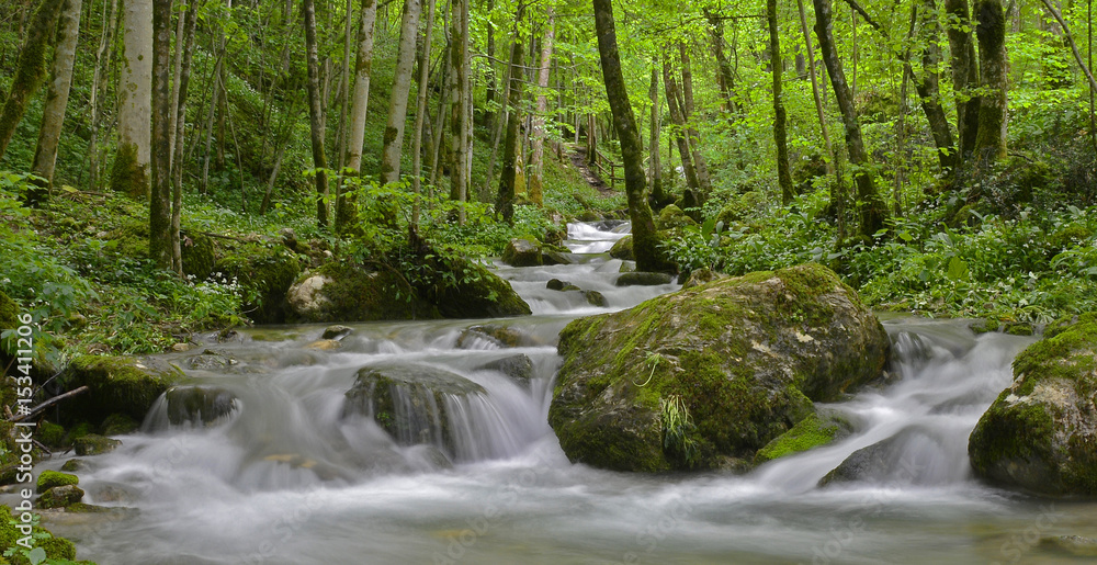 The Rio Pod Tamoran in late April in Friuli Venezia Giulia, north east Italy.
