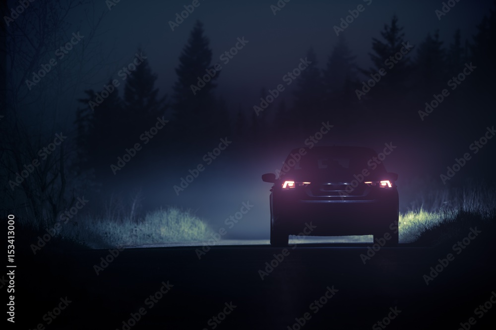 Obraz premium Gęsta mgła Countryside Drive