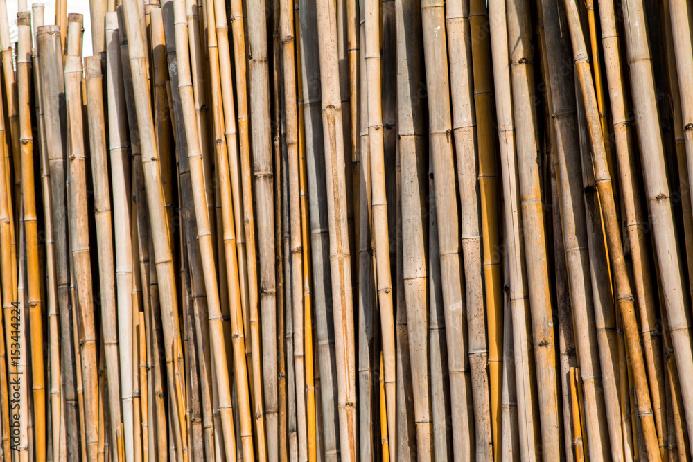bamboo fence background bamboo fence background