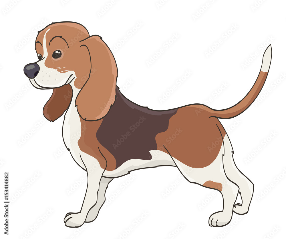 cartoon dog on white. vector illustration cartoon dog on white. vector illustration