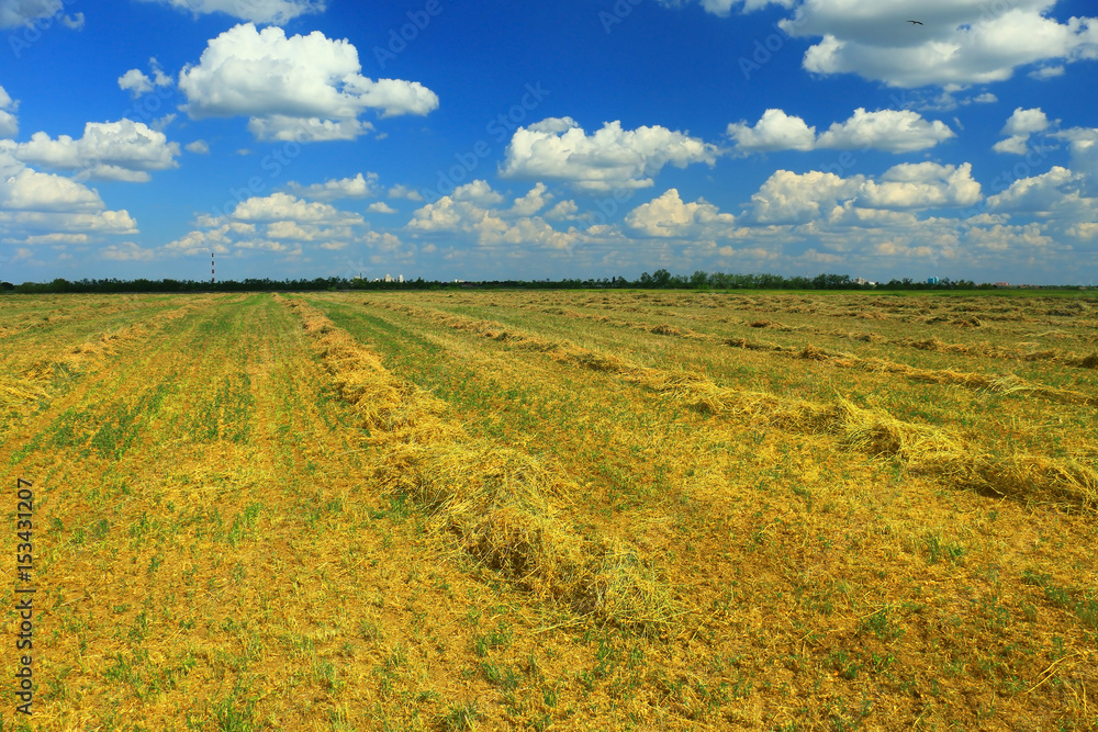 mown field on a bright autumn day mown field on a bright autumn day