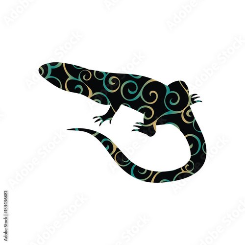 Lizard reptile color silhouette animal