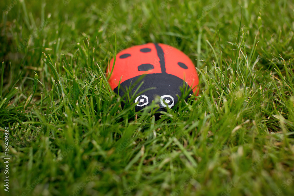 Handmade painted acrylic stone adybug in garden Handmade painted acrylic stone adybug in garden