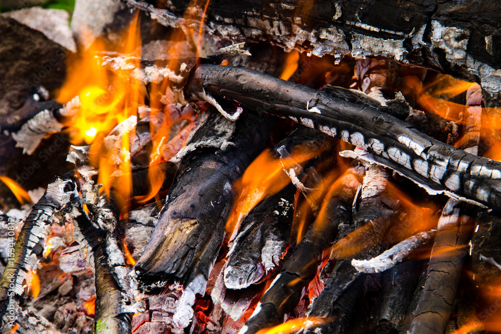 Flame of bonfire. Burning firewood in the fireplace closeup Flame of bonfire. Burning firewood in the fireplace closeup