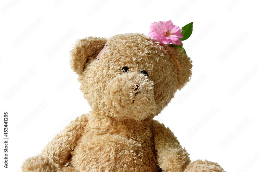 Fototapeta premium Lovely teddy bear on white background