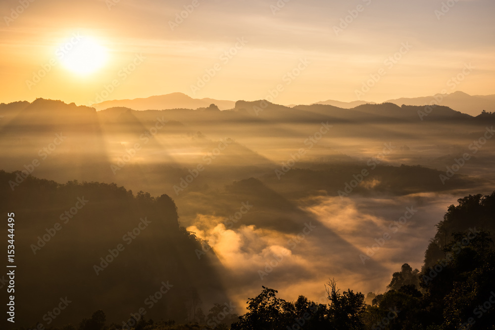 Scenic landscape sunlight shine on foggy hill