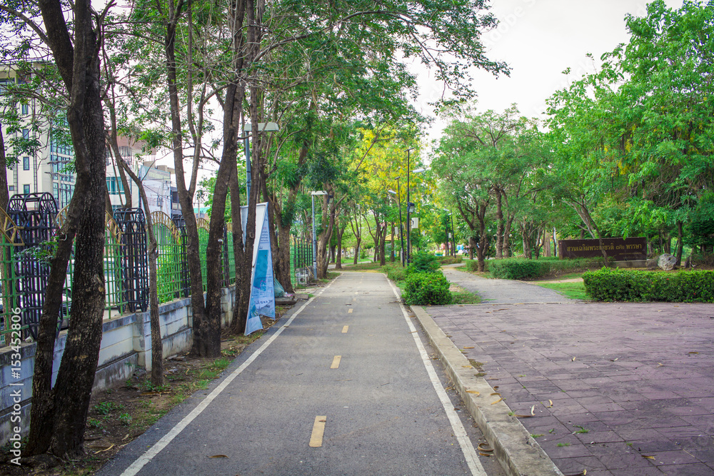 trees in the public park