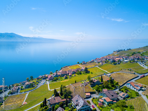 Aerial Panoramic View of The Vineyards in the Lavaux Region of Switzerland set upon The Bank of Lac Léman (Lake Geneva), Mountains on the Background