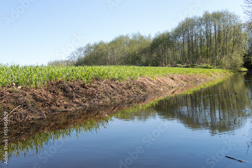 Agricultural ditch in spring morning.