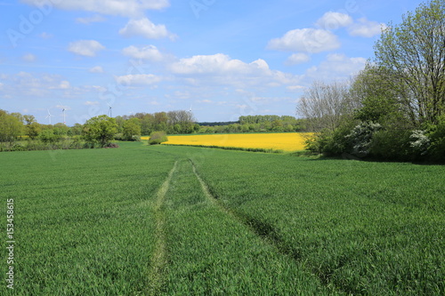 Agriculture in Muensterland, Westphalia, Germany photo