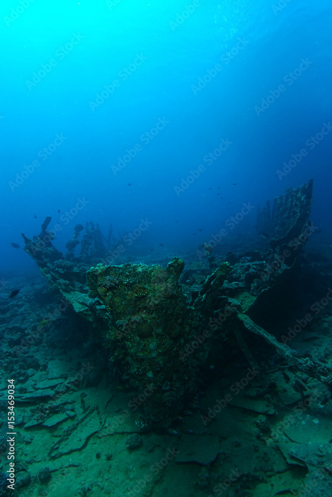 Fototapeta premium Very old ship wreck from 1800's inside the reef verticle