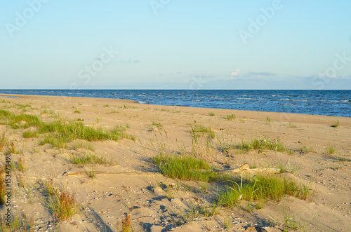 Wild sandy beach in the summer morning with clear blue sky. Baltic Sea coastline, Latvia.