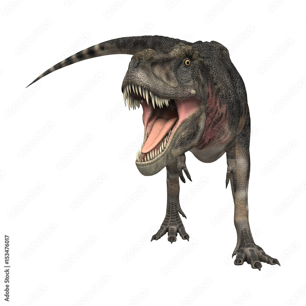 Fototapeta premium 3D Rendering Dinosaur Tarbosaurus on White