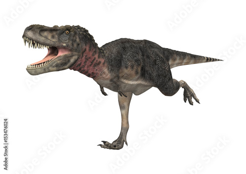 3D Rendering Dinosaur Tarbosaurus on White