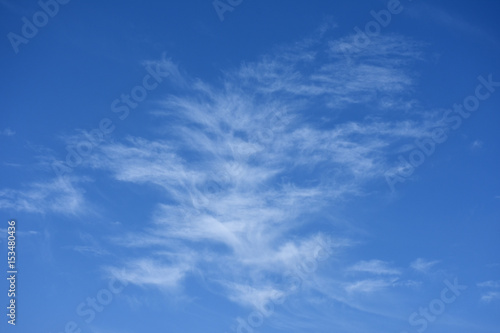 不思議な雲と青空「空想・雲の葉っぱ」成長、葉、不思議などイメージ