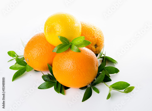 Composition of lemon orange and lime and mint leaves