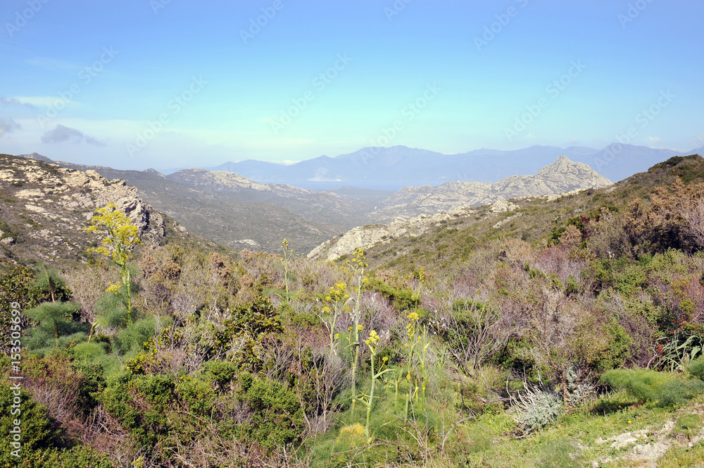 Desert des Agriates in Corsica