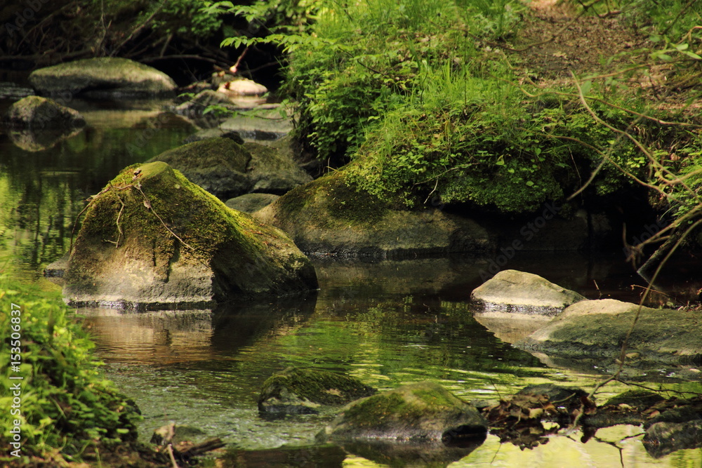 Bach mit Felsen Bach mit Felsen