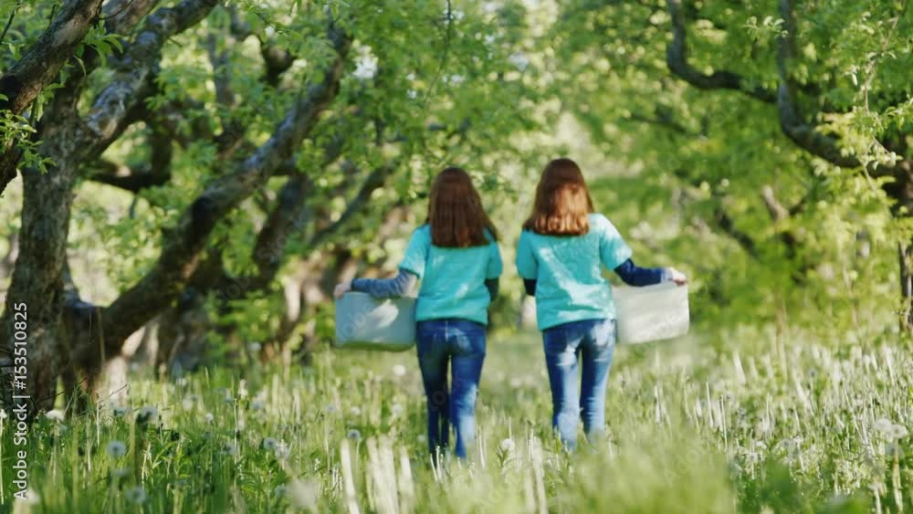 Two young red-haired women farmers come with baskets in the apple garden. Back view. Sisters of the twins Two young red-haired women farmers come with baskets in the apple garden. Back view. Sisters of the twins