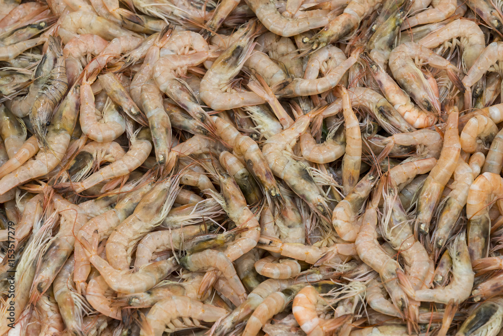 Background of small shrimps shot close-up 