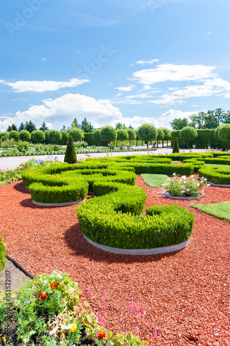 Boxwood bushes of ornamental garden. Rundale royal park Latvia.