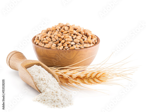 Whole grain wheat flour isolated on white